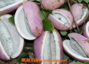 恩施最新吃瓜事件新闻,真相揭秘，网友热议不断