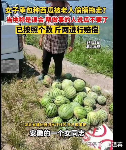 恩施最新吃瓜事件新闻,真相揭秘，网友热议不断