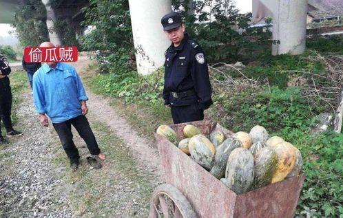 恩施最新吃瓜事件新闻,真相揭秘，网友热议不断