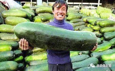 吃瓜群众吃的瓜,吃瓜群众眼中的明星八卦风云