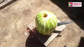 孩子吃瓜诗,孩子眼中的夏日田园乐章