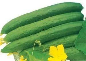 夏季常吃三瓜,西瓜、黄瓜、苦瓜，清凉一夏尽享美味与健康