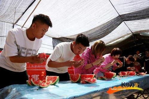河北吃瓜大赛视频,一场视觉与味觉的双重盛宴