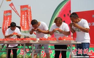 河北吃瓜大赛视频,一场视觉与味觉的双重盛宴