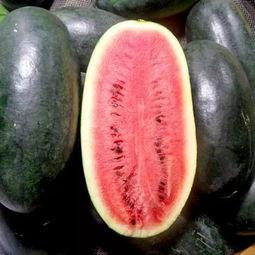 中国瓜在哪吃,探寻中国各地瓜果美食的独特风味