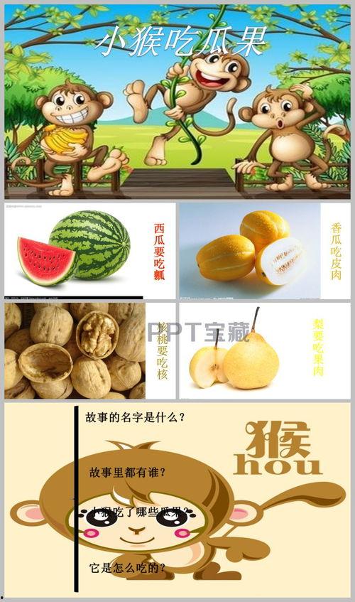 中班小猴吃瓜图片,中班宝贝的快乐时光