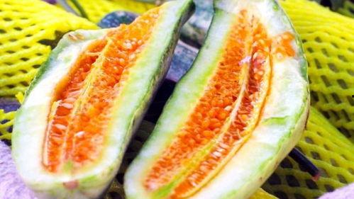 海悦邹城吃瓜,一场别开生面的吃瓜盛宴