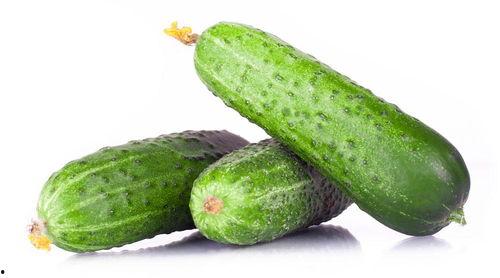 吃瓜黄色瓜,探寻夏日消暑美食的奥秘