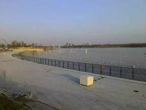 孝妇河公园吃瓜,夏日吃瓜盛宴，共享清凉时光