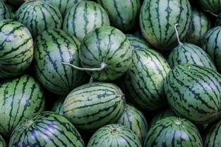 吃瓜腿,网红美食背后的健康之谜