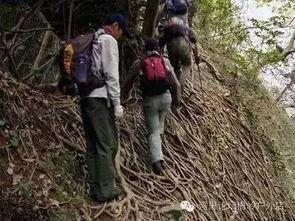 户外爬山吃瓜视频,户外爬山吃瓜，畅享自然美味时光