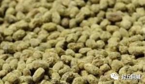 吃瓜封丘,揭秘当地特色美食背后的故事