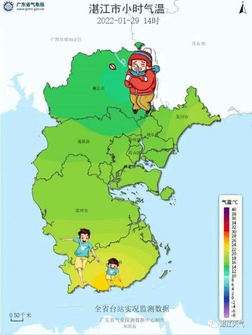 徐闻最近吃瓜,一地鸡毛中的生活百态