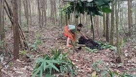 穿越到吃瓜现场,亲历娱乐圈风云变幻的吃瓜现场