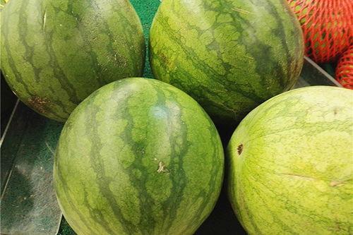 啥时候不能再吃瓜,揭秘何时是停止享用瓜果的最佳时机