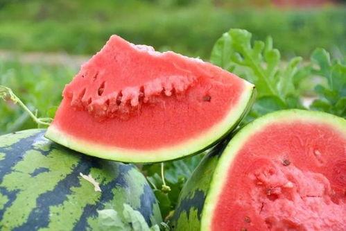 株洲铁路小区吃瓜,邻里琐事里的生活百态