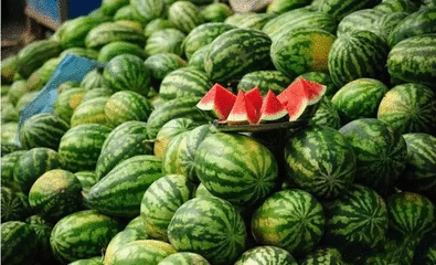 大河马西吃瓜,大河马西的瓜田奇遇记