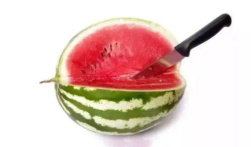 吃高档瓜,探寻高档瓜果的尊贵之旅