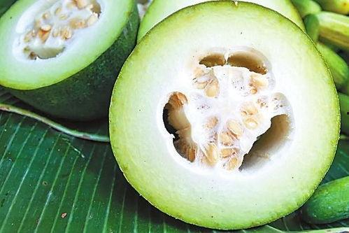 白俄吃瓜,吃瓜群众如何影响社会舆论