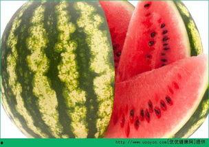 吃瓜天天看,吃瓜群众视角下的娱乐圈风云录