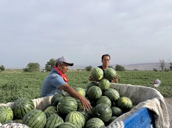 吃瓜天天看,吃瓜群众视角下的娱乐圈风云录