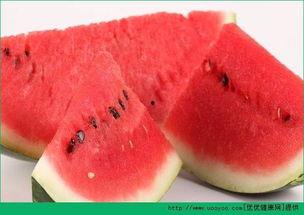 吃瓜少女海鲜,一场味蕾与视觉的盛宴