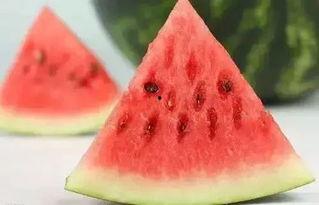 春吃枸杞夏吃瓜,春枸杞夏瓜果，健康生活每一天