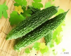 春吃枸杞夏吃瓜,春枸杞夏瓜果，健康生活每一天