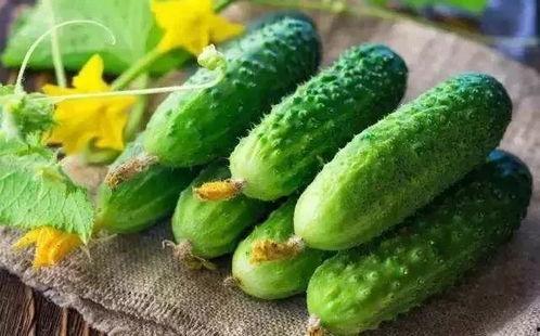 春吃枸杞夏吃瓜,春枸杞夏瓜果，健康生活每一天