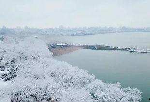 断桥残雪吃瓜,揭秘瓜田里的那些事儿