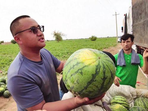 游资届吃瓜,吃瓜群众眼中的资本风云