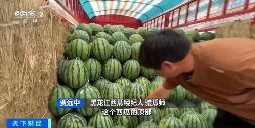 最新吃瓜入口91,最新热门话题大盘点