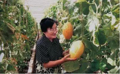 最新吃瓜入口91,最新热门话题大盘点