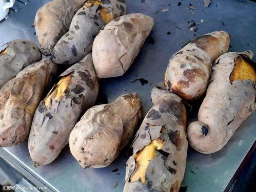 猹吃瓜地瓜,一场奇妙的味蕾之旅