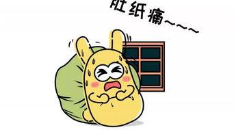 吃瓜群众南宁,吃瓜群众眼中的城市风采