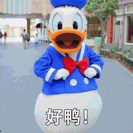 快乐吃瓜鸭画,趣味横生的日常趣事集锦