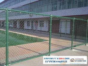 篮球场护栏吃瓜,揭秘场边观战者的独特视角