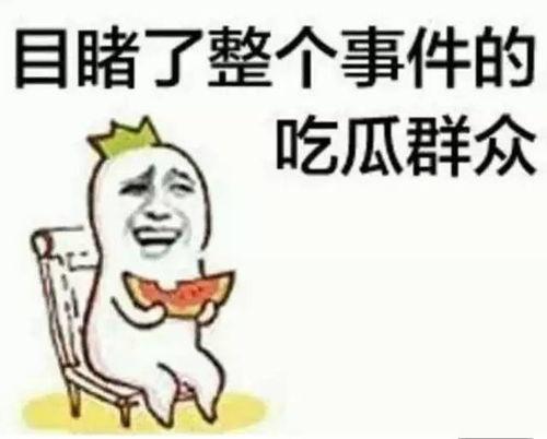 最新吃瓜沈汝凡,揭秘娱乐圈背后的惊人真相