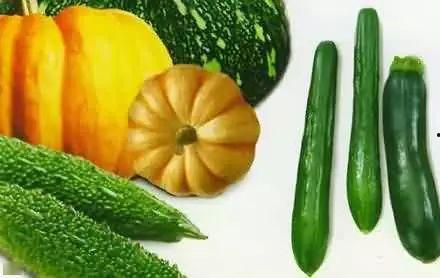 缅北吃瓜官方频道,吃瓜官方频道带你探秘边境奇闻轶事