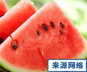 吃瓜会胖人,揭秘吃瓜与体重管理的秘密