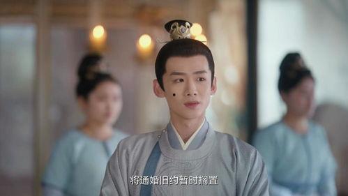 卿卿日常(莹莹吃瓜),莹莹吃瓜，揭秘宫廷秘闻