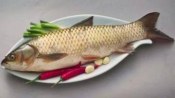 鱼和哈密瓜能一起吃吗,探讨两者能否共食的饮食奥秘