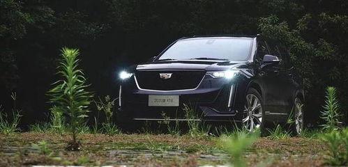 凯迪拉克14岁吃瓜,吃瓜界的“小网红”