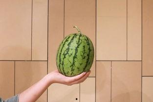 吃瓜群众最初指什么瓜,揭秘“瓜”的起源与演变