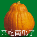 qq吃瓜群表情包,趣味横生的网络社交文化缩影