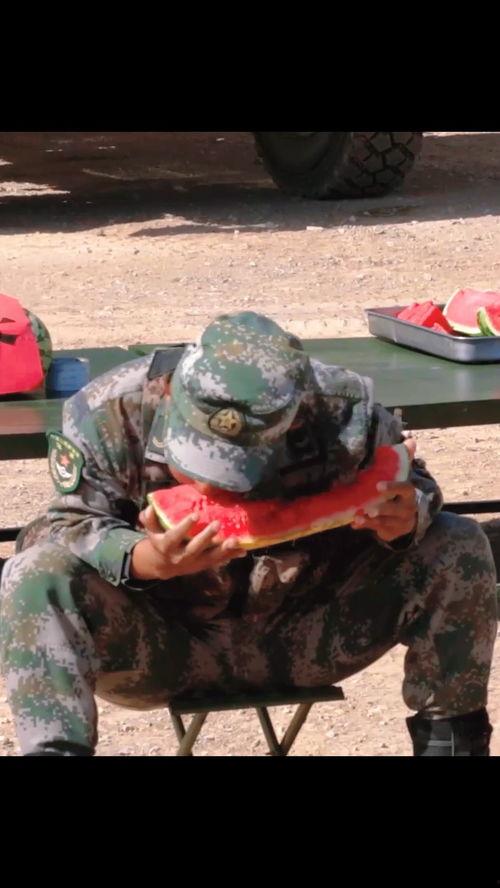 兵哥哥吃瓜全集,揭秘军营里的欢乐时光