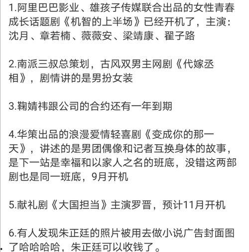 吃瓜比赛标语,吃瓜比赛标语背后的激情与欢笑