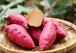 方瓜和山芋能一起吃吗