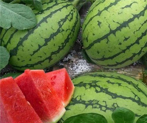 大瓜如何吃,解锁美味新境界