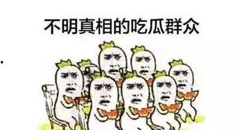 看戏吃瓜吃啥,瓜分人生百态